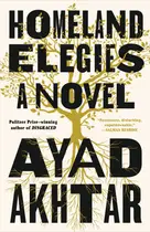 Book cover of Homeland Elegies