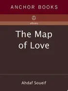 Book cover of The Map of Love