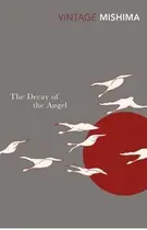 Book cover of The Decay of the Angel