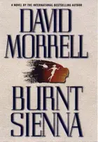 Book cover of Burnt sienna