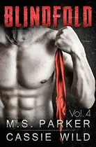 Book cover of Blindfold Vol. 4