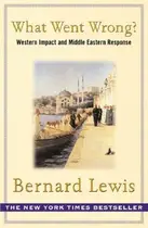 Book cover of What went wrong?