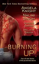 Book cover of Burning up