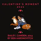 Book cover of Bailey, Camden 2014