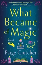 Book cover of What became of magic