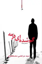 Book cover of گم شده ای در مه