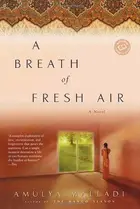 Book cover of A Breath of Fresh Air