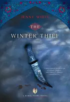 Book cover of The winter thief