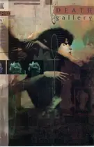Book cover of A Death Gallery