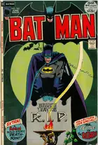 Book cover of Batman #242