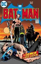 Book cover of Batman (1940-2011) #244