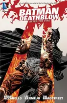 Book cover of Batman/Deathblow: After The Fire