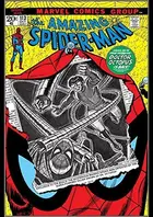 Book cover of Amazing Spider-Man (1963-1998) #113