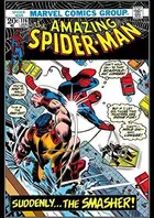Book cover of Amazing Spider-Man (1963-1998) #116