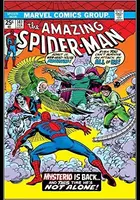 Book cover of Amazing Spider-Man (1963-1998) #141