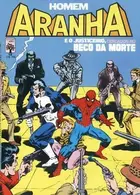 Book cover of Homem Aranha - E o Justiceiro Cercados no Beco da Morte