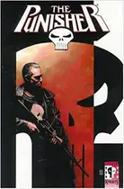 Book cover of The Punisher, Vol. 5: Streets of Laredo