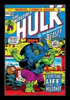 Book cover of Incredible Hulk (1962-1999) #161