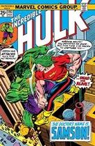 Book cover of Incredible Hulk (1962-1999) #193