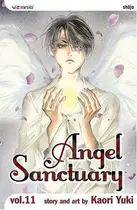 Book cover of Angel Sanctuary, Vol. 11
