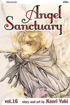 Book cover of Angel Sanctuary, Vol. 16