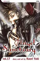 Book cover of Angel Sanctuary, Vol. 17