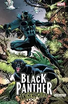 Book cover of Black Panther: Panther's Quest