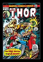 Book cover of Thor (1966-1996) #216