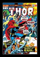 Book cover of Thor (1966-1996) #228