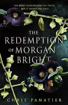 Book cover of The Redemption of Morgan Bright