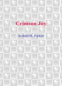 Book cover of Crimson joy