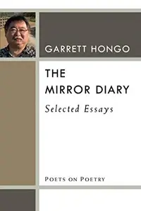 Book cover of The Mirror Diary