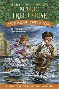 Book cover of Hurricane heroes in Texas