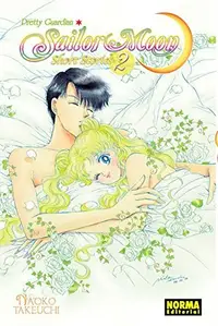 Book cover of Sailor Moon Short Stories 2