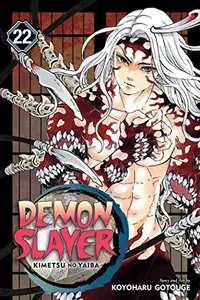 Book cover of Demon Slayer: Kimetsu no Yaiba, Vol. 22