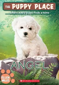 Book cover of Angel