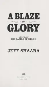 Book cover of A blaze of glory