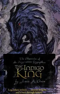 Book cover of The indigo king