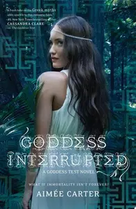 Book cover of Goddess Interrupted