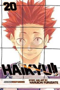 Book cover of Haikyu!! 20: Particular