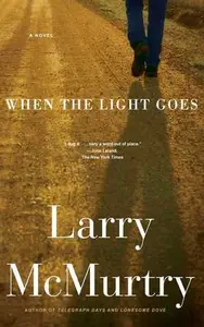 Book cover of When the Light Goes