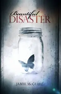 Book cover of Beautiful Disaster