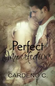 Book cover of Perfect Imperfections