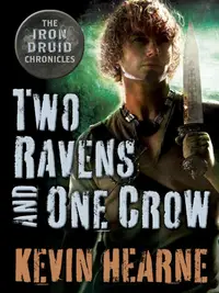 Book cover of Two Ravens and One Crow
