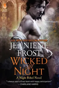 Book cover of Wicked all night