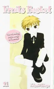 Book cover of The magic fruit basket 11