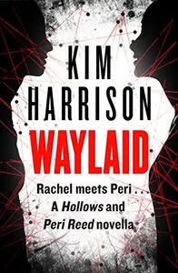 Book cover of Waylaid
