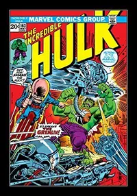 Book cover of Incredible Hulk (1962-1999) #163
