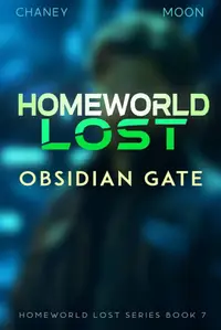 Book cover of Obsidian Gate