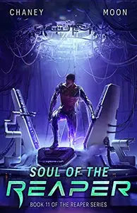 Book cover of Soul of the Reaper